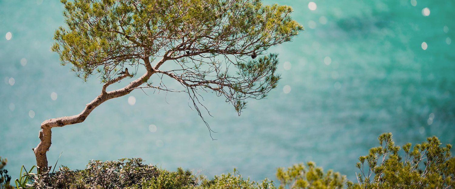 Báñate en el mar turquesa de Mallorca Báñate en el mar turquesa de Mallorca